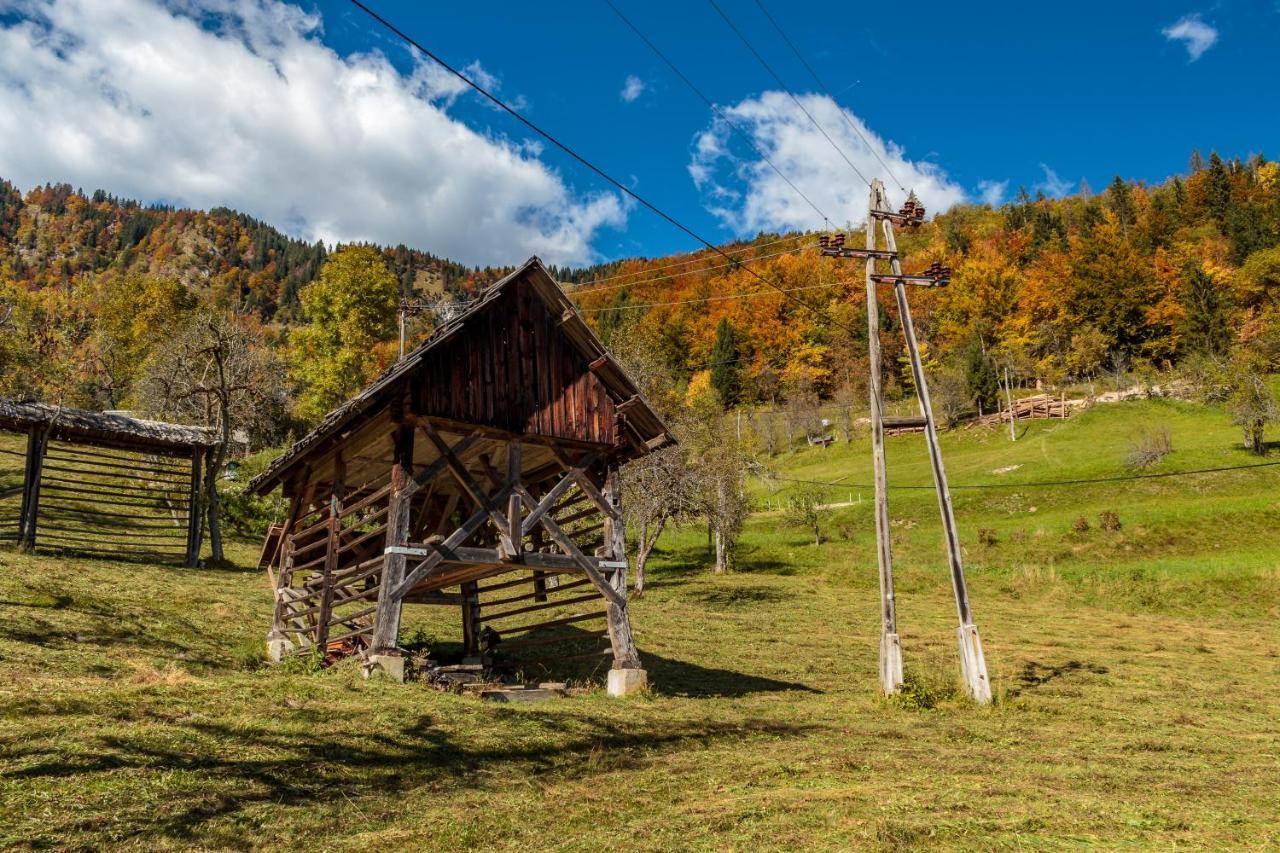Holiday House Jereka -博希尼 外观 照片