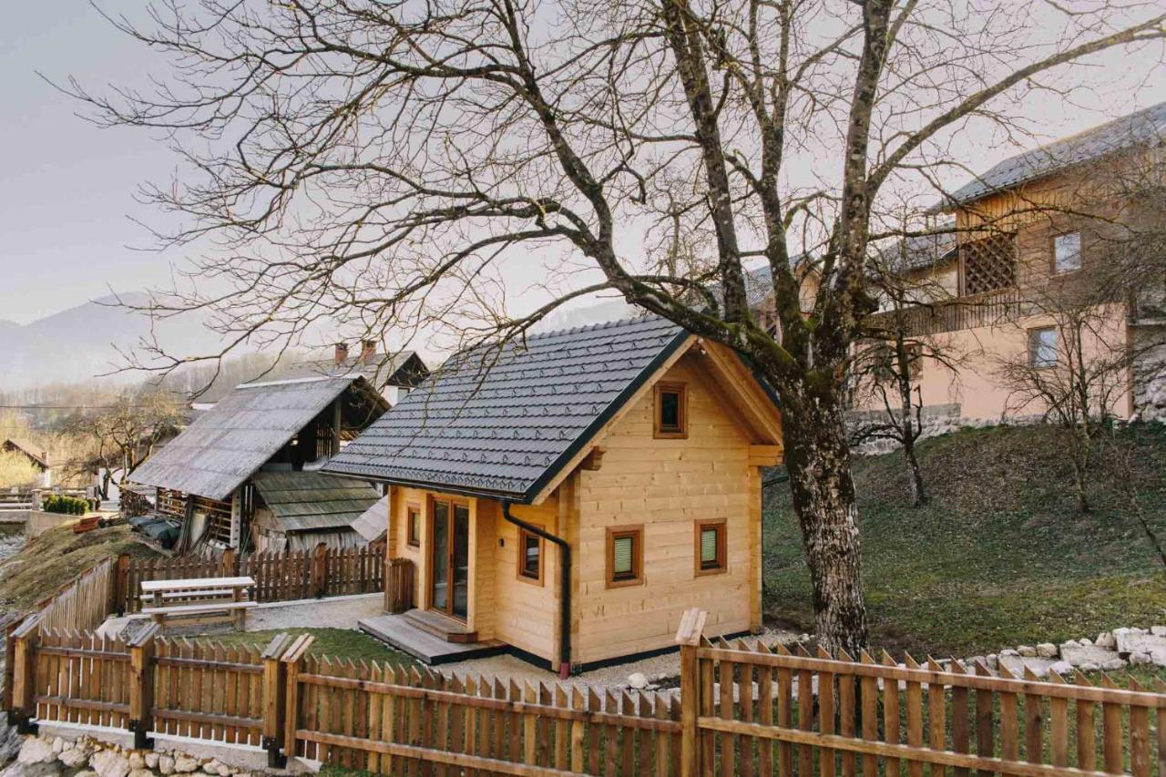 Holiday House Jereka -博希尼 外观 照片